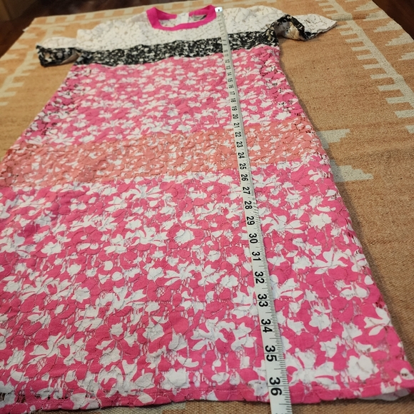 ASOS Colorblock Lace Shift Dress - Picture 6 of 9